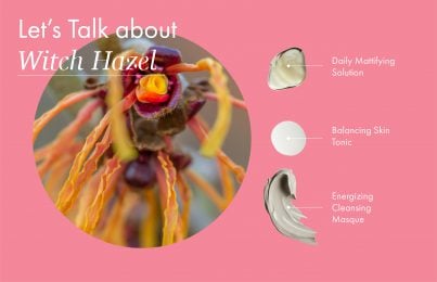 this simple diagram shows the benefits of witch hazel by using it as a toner or face mask
