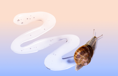 snail leaving a trail of snail mucin